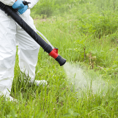 ASIAN BEETLE SPRAY